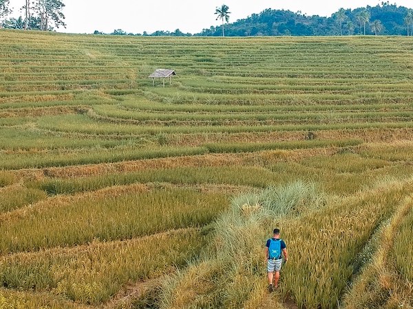 Cadapdapan Rice Terraces Can Umantad Falls And Canawa Spring A