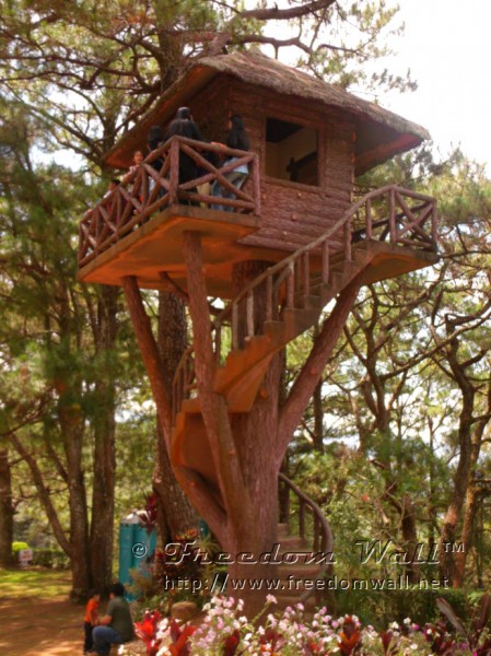 Tree House at Port del Pilar