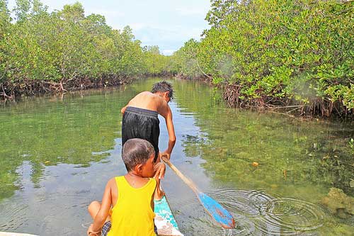 Going into the Inner part of Alibijaban mangrove area