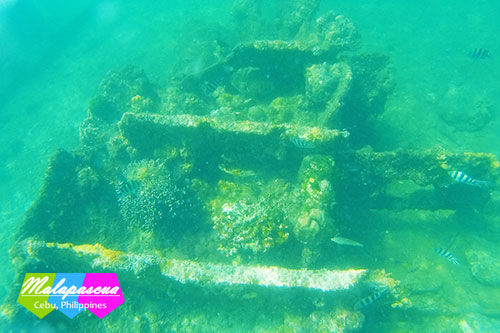 A portion of the Japanese shipwreck off the cost of Malapascua
