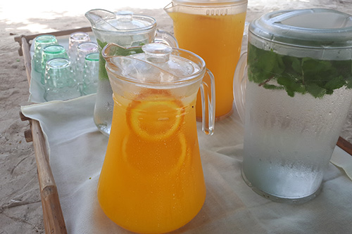 Fresh healthy quenchers